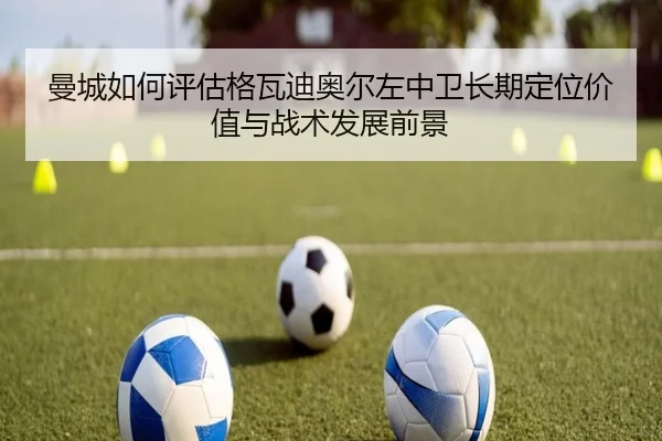 曼城如何评估格瓦迪奥尔左中卫长期定位价值与战术发展前景